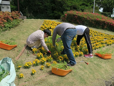 活動写真